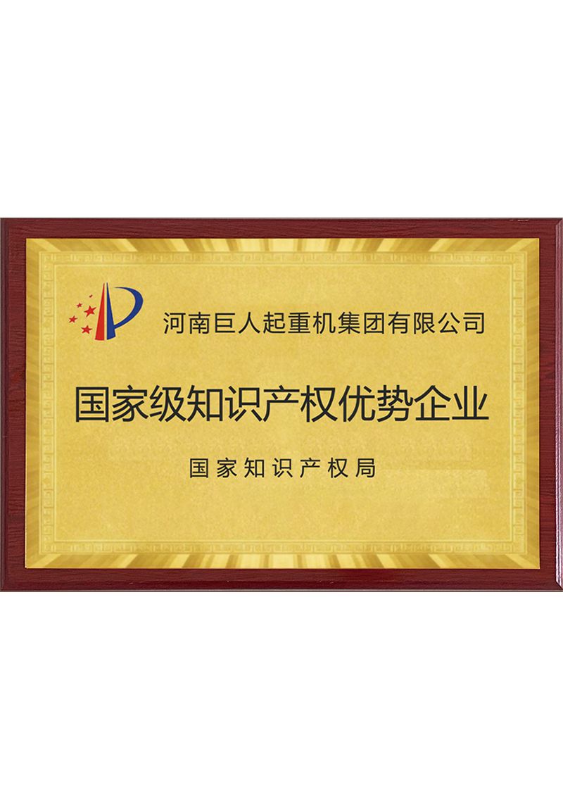 國(guó)家級(jí)知識(shí)產(chǎn)權(quán)優(yōu)勢(shì)企業(yè)