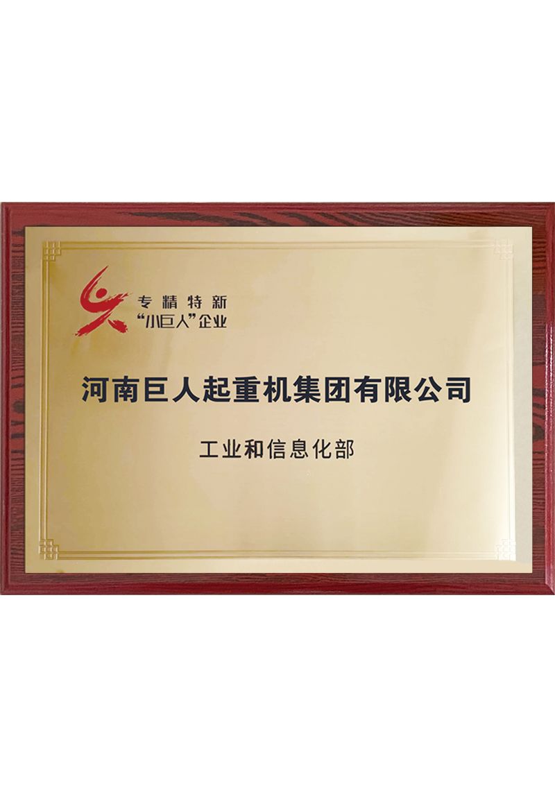 國(guó)家級(jí)專(zhuān)精特新小巨人企業(yè)